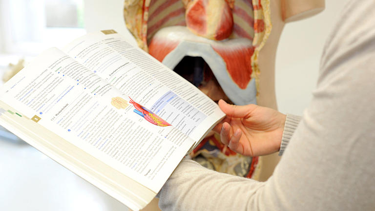 Eine Frau lernt am medizinischen Modell mit einem Buch.