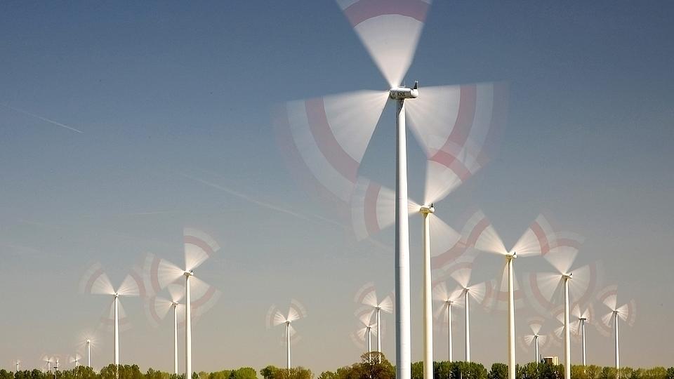 In einer Landschaft mit einer Grünfläche, einem Rapsfeld und Bäumen stehen bei wolkenlosem Himmel mehrere Windräder die sich drehen.