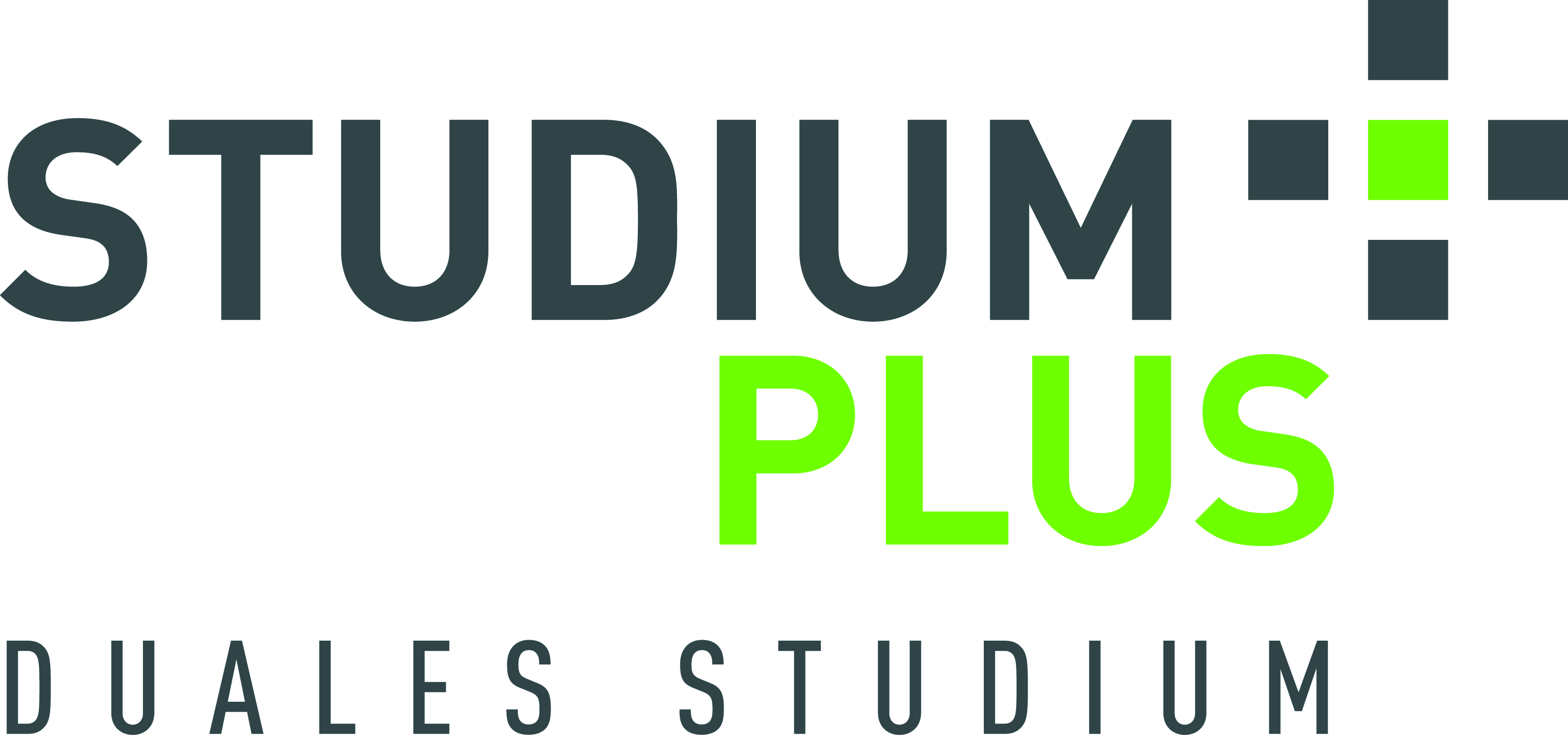 Logo von Technische Hochschule Mittelhessen / StudiumPlus