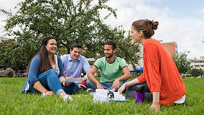 Studierende sitzen auf einer Wiese