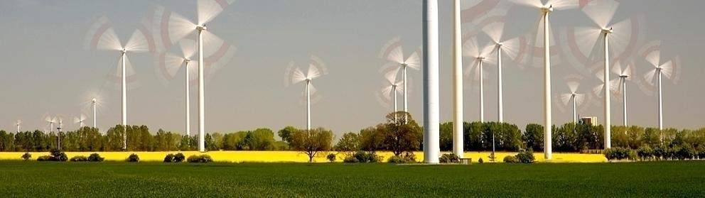 In einer Landschaft mit Grünfläche, einem Rapsfeld und Bäumen stehen bei wolkenlosem Himmel mehrere Windräder die sich drehen.