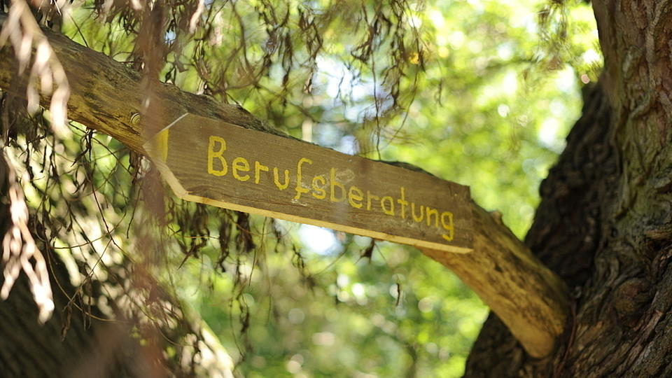 Holzschild mit der Aufschrift "Berufsberatung" an einem Ast