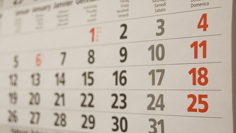 Wandkalender, Nahaufnahme des Monats Januar.