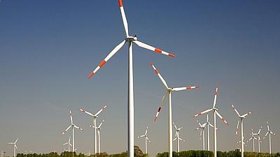 Eine Windradanlage mit vielen Windrädern, die auf mehreren Feldern verteilt sind.