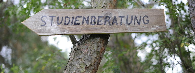 An einem Baumstamm ist ein Holzschild mit der Aufschrift "Studienberatung".