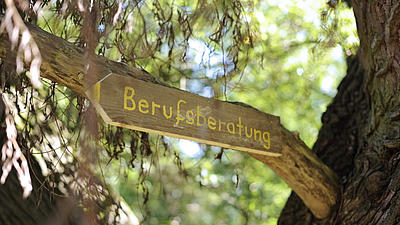 Holzschild mit der Aufschrift "Berufsberatung" an einem Baum