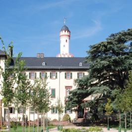 Ein Schloss in Bad Homburg.