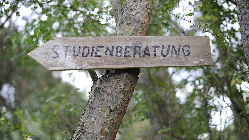 An einem Baumstamm ist ein Holzschild mit der Aufschrift "Studienberatung".