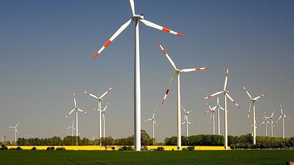 Eine Windradanlage mit vielen Windrädern, die auf mehreren Feldern verteilt sind.
