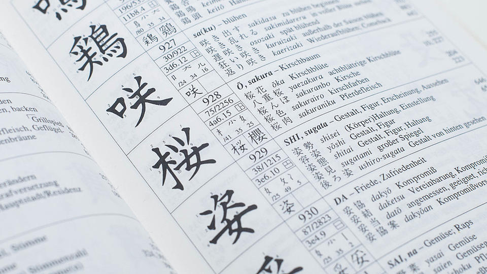 Nachaufnahme eines geöffneten Wörterbuches mit japanischen Schriftzeichen, dem Wort in arabischen Buchstaben und deutscher Übersetzung.